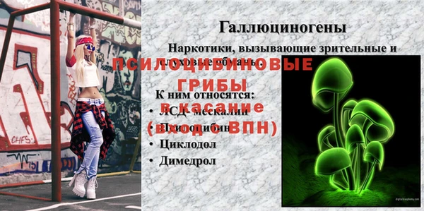 2c-b Алексеевка